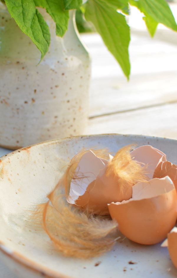 Quelques oeufs de mes poules dans un gâteau...